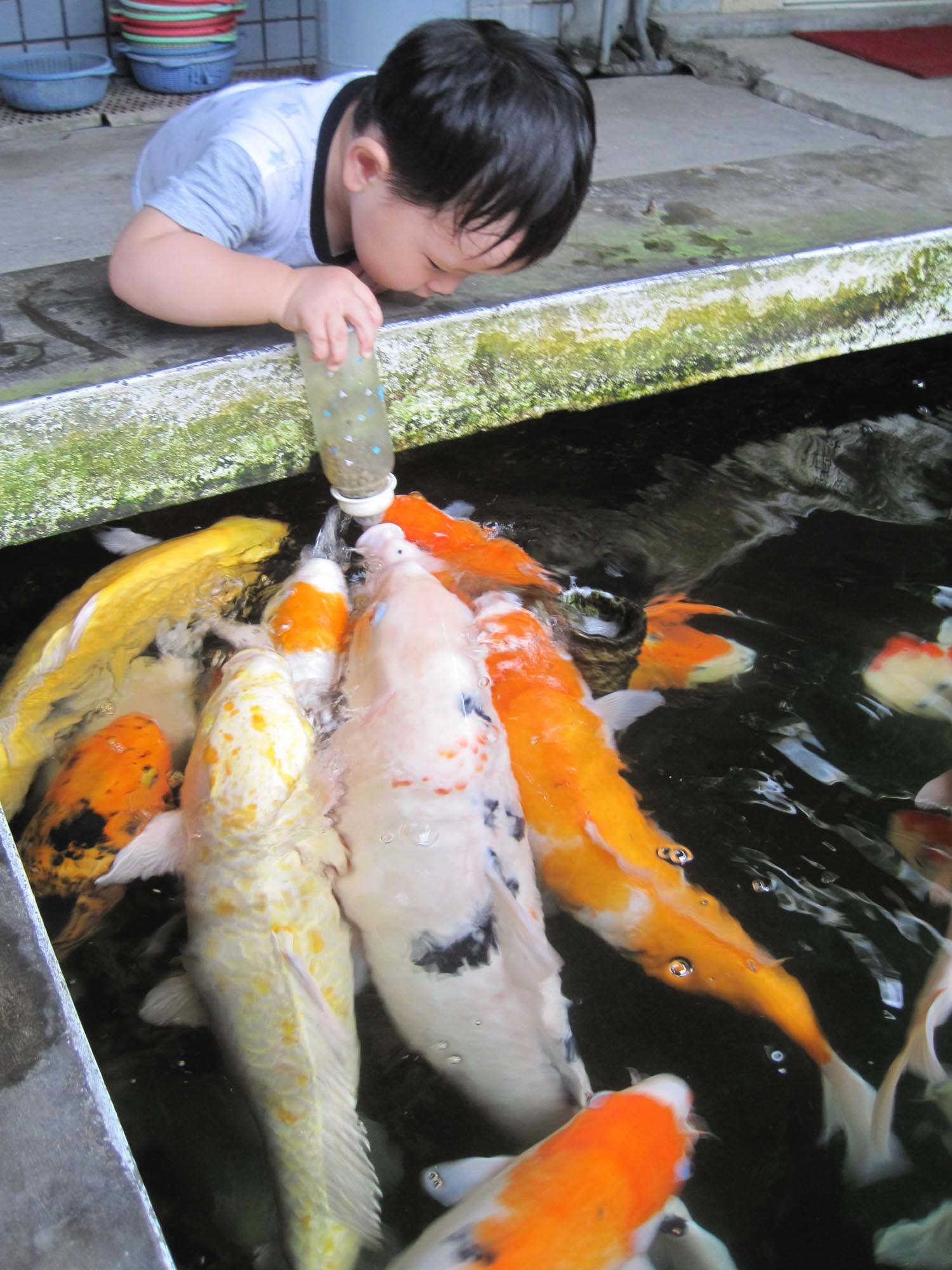 童話村親子生態農場民宿的民宿照片